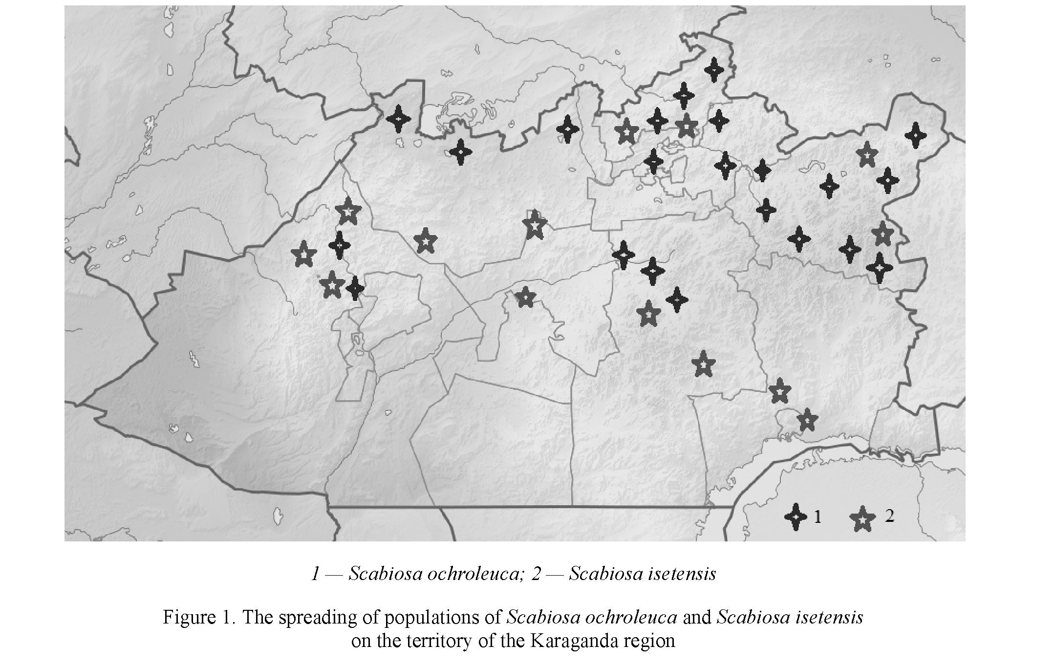 Study of spreading and plant resources of herbs Scabiosa ochroleuca L. and Scabiosa isetensis L. on the territory of Karaganda region
