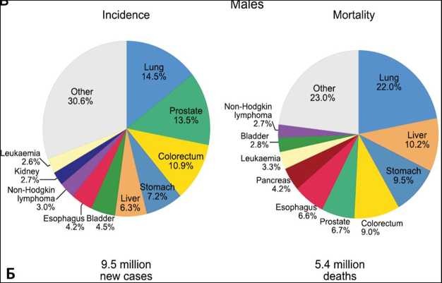 Диаграммы по заболеваемости и смертности 10 наиболее распространенных злокачественных новообразований в мире, А у обоих полов, Б у мужчин