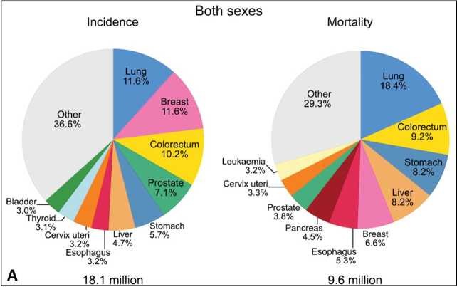 Диаграммы по заболеваемости и смертности 10 наиболее распространенных злокачественных новообразований в мире, А у обоих полов, Б у мужчин