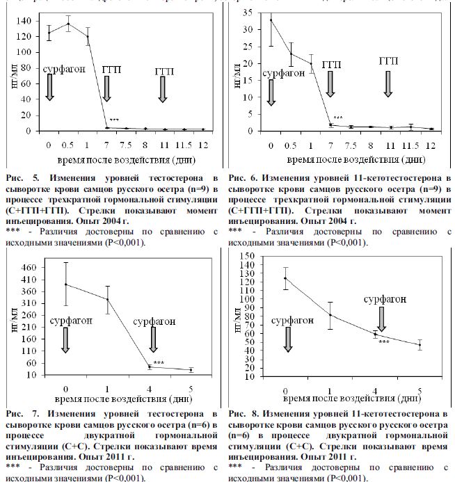 Изменения уровней тестостерона в сыворотке крови самцов русского осетра (n=6) в процессе	двукратной гормональной стимуляции (С+С). 