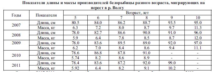 Показатели длины и массы производителей белорыбицы разного возраста