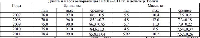 Длина и масса белорыбицы за 2007-2011 гг. в дельте р. Волги