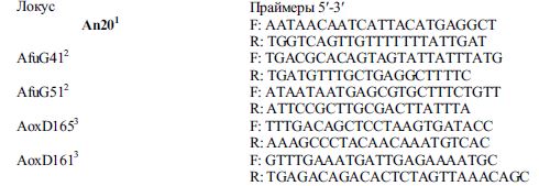 Анализ последовательностей D-петли митохондриальной ДНК (мтДНК)