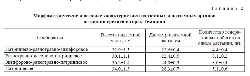 Морфометрические и весовые характеристики надземных и подземных органов патринии средней в горах Темирши