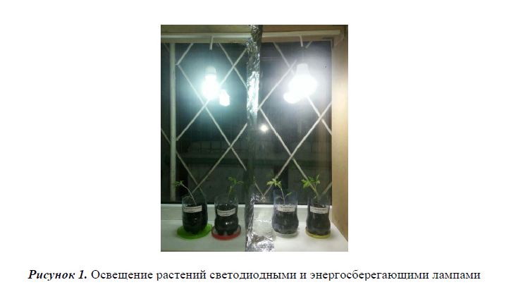 Освещение растений светодиодными и энергосберегающими лампами 