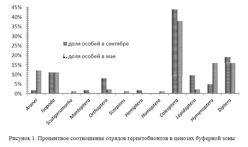 Процентное соотношение отрядов герпетобионтов в ценозах буферной зоны