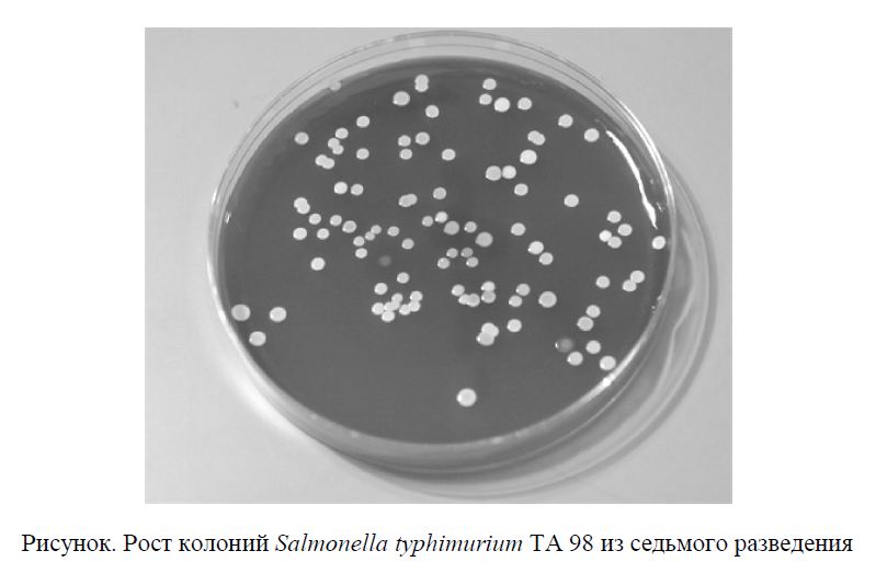 Рост колоний Salmonella typhimurium ТА 98 из седьмого разведения