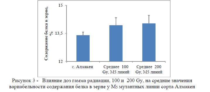 Влияние доз гамма радиации, 100 и 200 Gy, на средние значения вариабельности содержания белка в зерне у М5 мутантных линии сорта Алмакен
