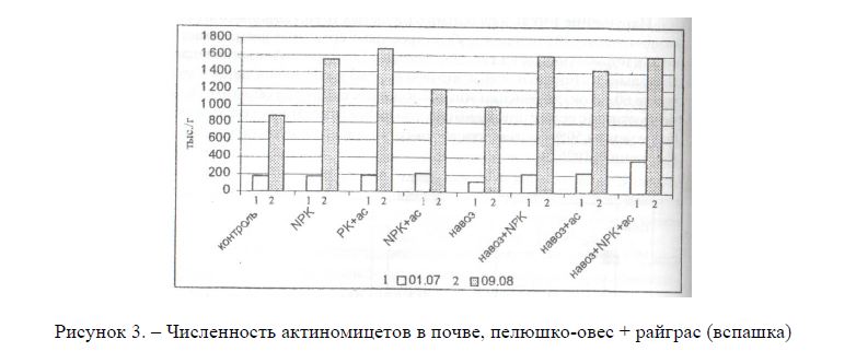 Численность актиномицетов в почве, пелюшко-овес + райграс (вспашка)