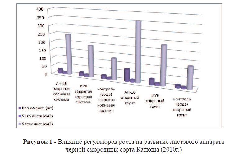 Влияние регуляторов роста на развитие листового аппарата черной смородины сорта Катюша (2010г.) 