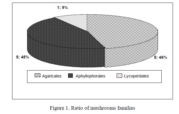 Ratio of mushrooms families
