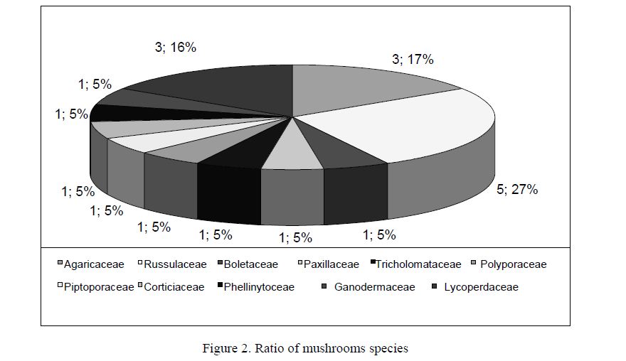 Ratio of mushrooms species