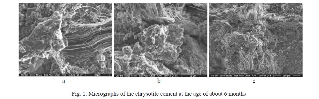 Micrographs of the chrysotile cement at the age of about 6 months