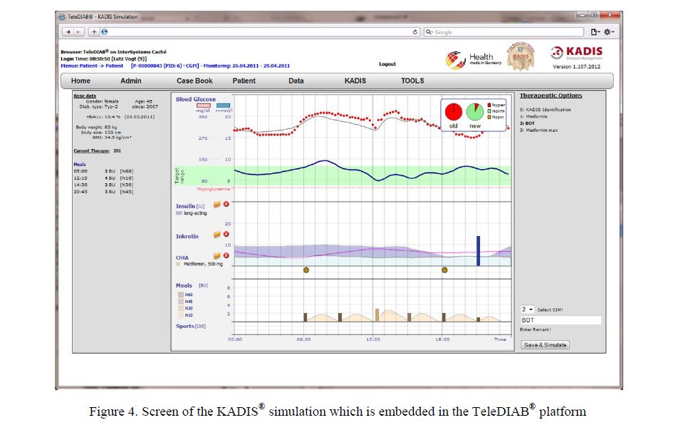  Screen of the KADIS® simulation which is embedded in the TeleDIAB® platform 