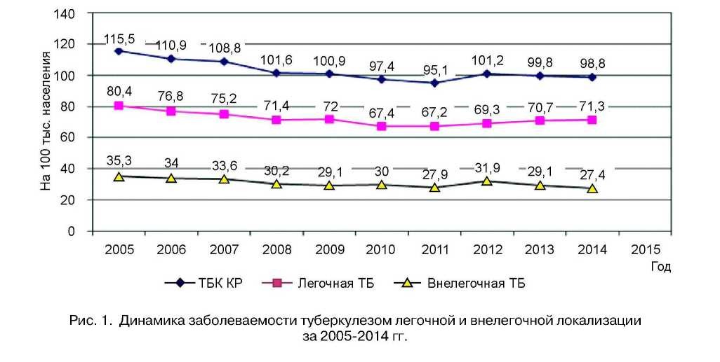 Качественная и количественная характеристика эхогенных компонентов при ультразвуковой диагностике туберкулезных плевритов в Кыргызской республике