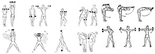 Особенности физической подготовки боксеров в подготовительном цикле тренировки