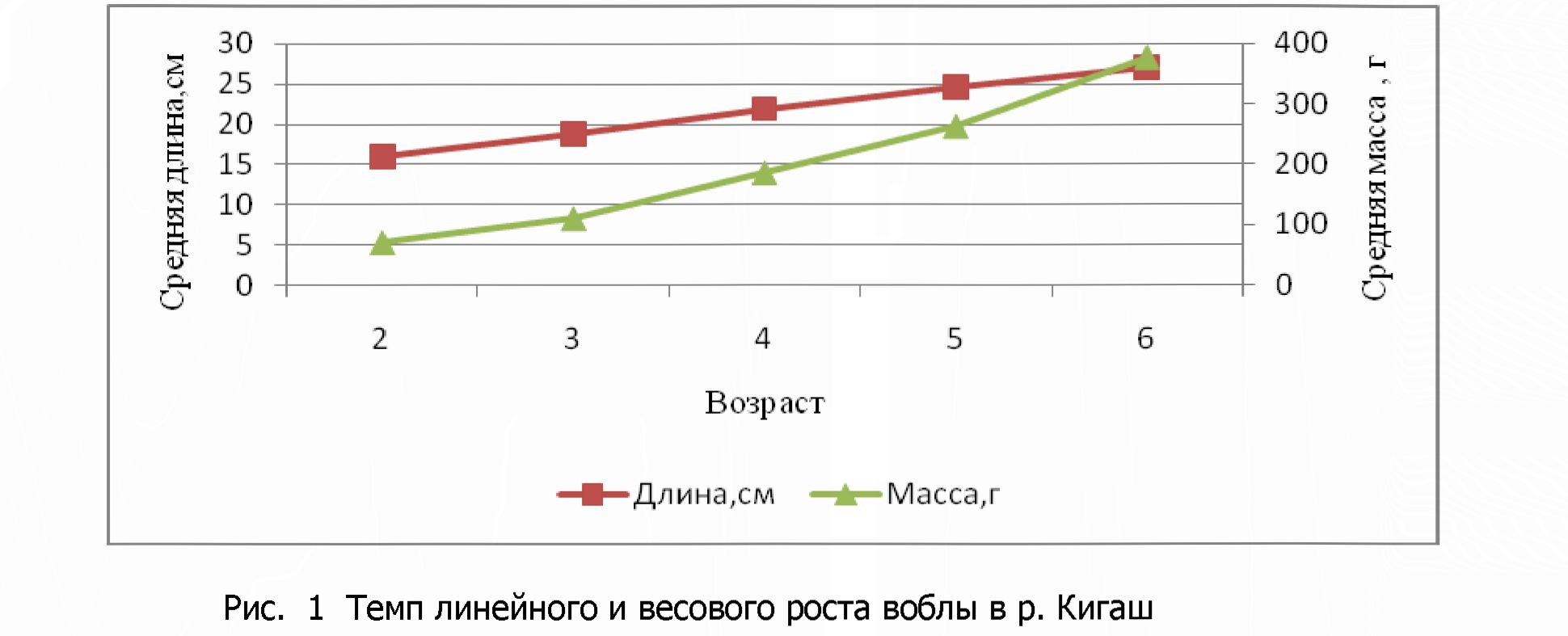 Динамика размерно-возрастной структуры нерестовой части популяции воблы в р.Кигаш