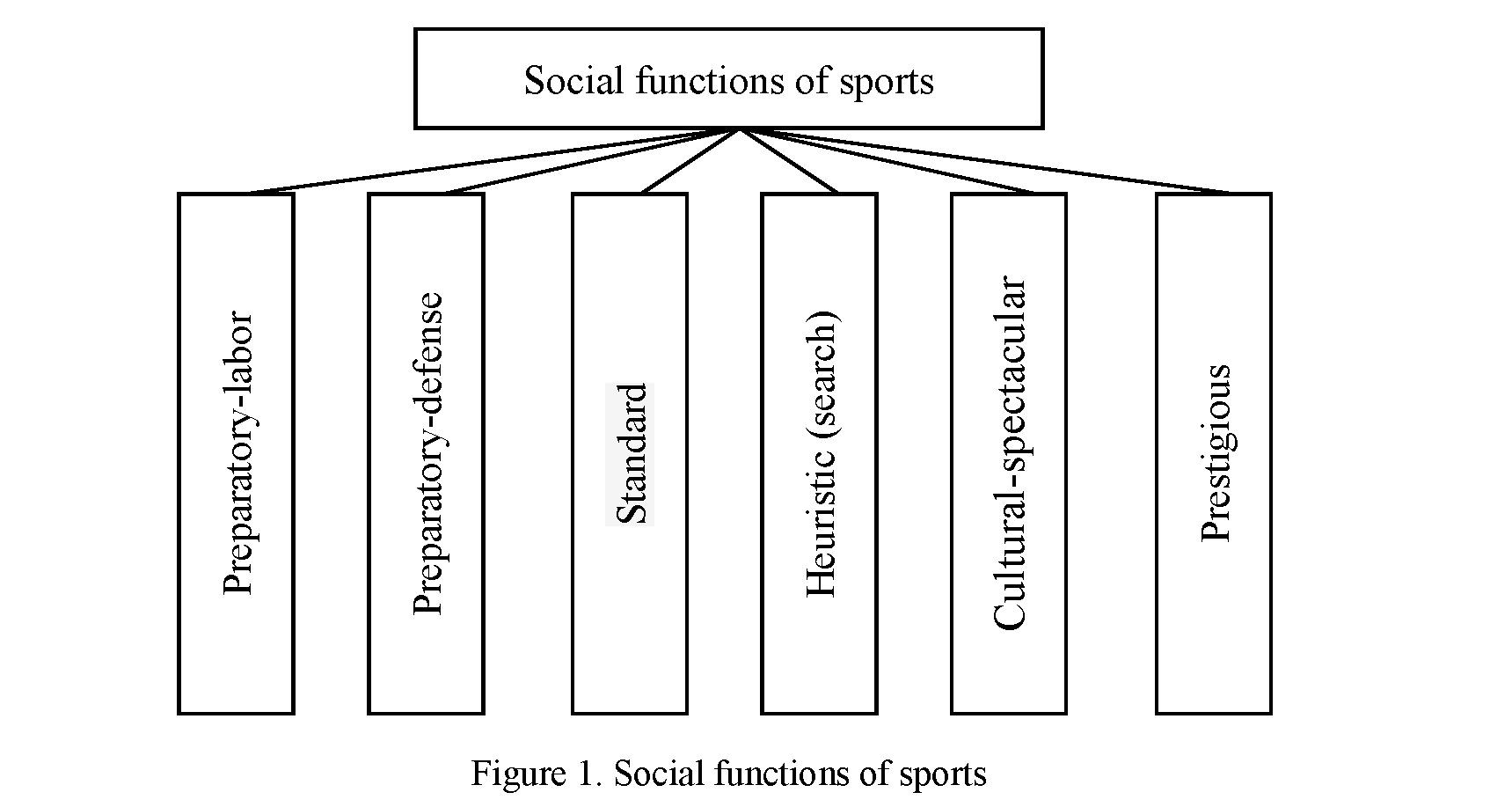 Functions of sport that increase its social significance