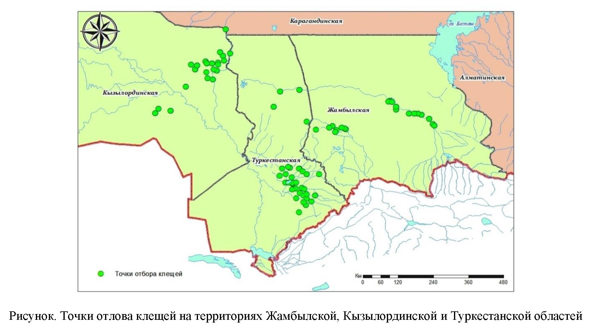 Результаты исследования клещей на обнаружение вирусов Карши, Тамды, Иссык-Кульской лихорадки, лихорадки долины Сырдарьи