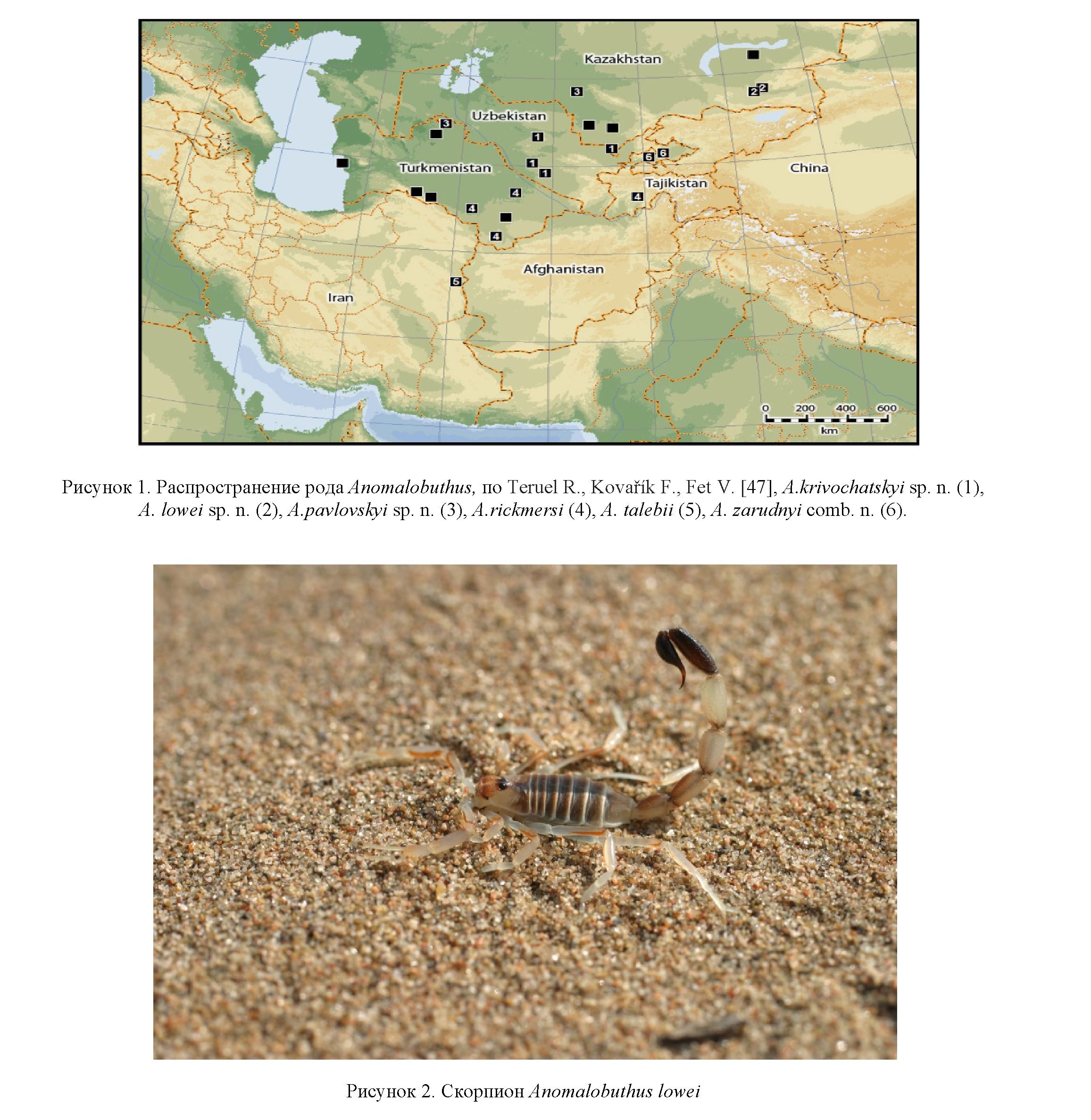 Новые сведения по распространению скорпионов рода Аnomalobuthus в Казахстане