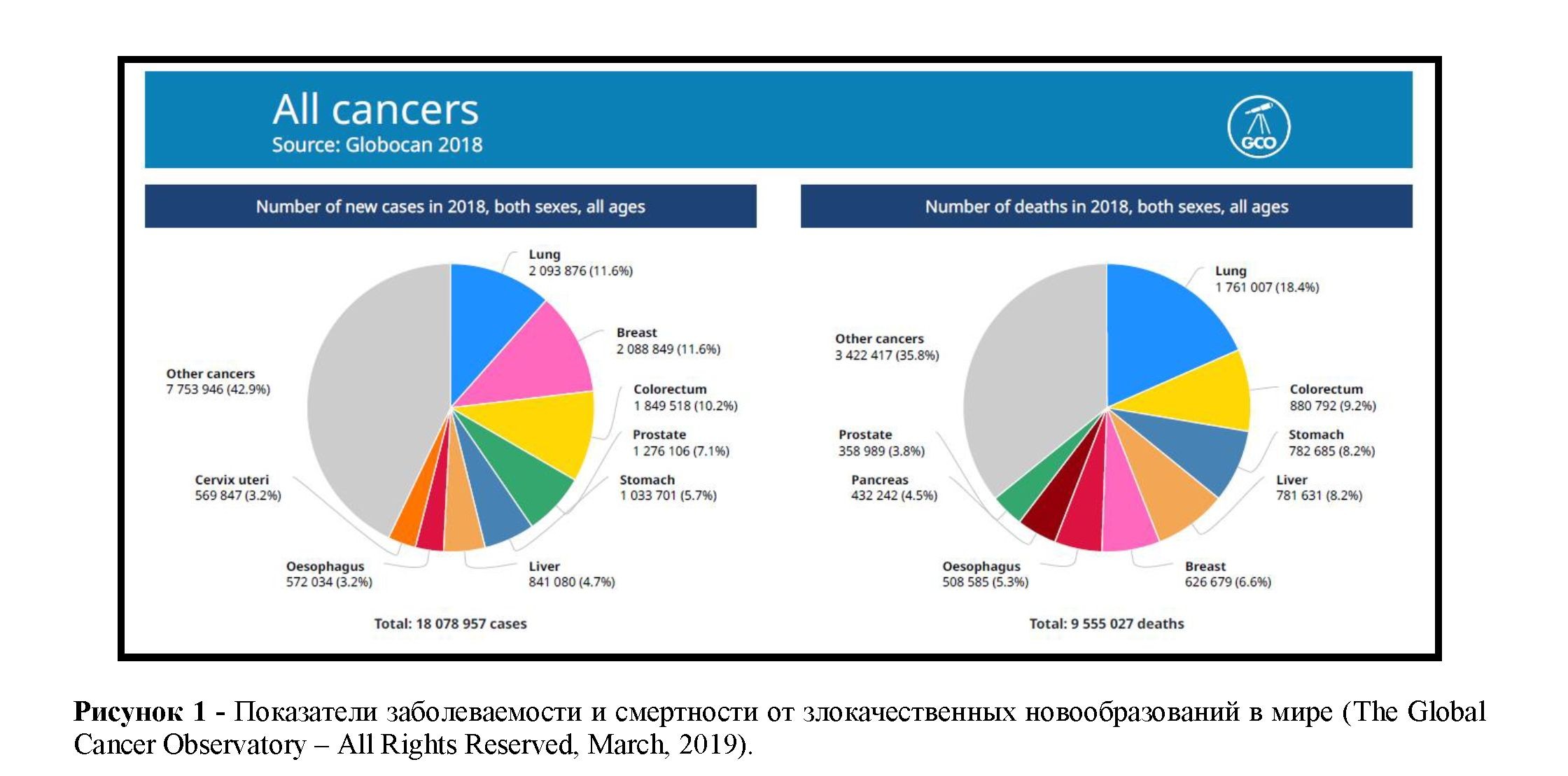 Медико-социальные аспекты организации специализированной медицинской помощи больным гепатоцеллюлярной карциномой печени на юге Казахстана