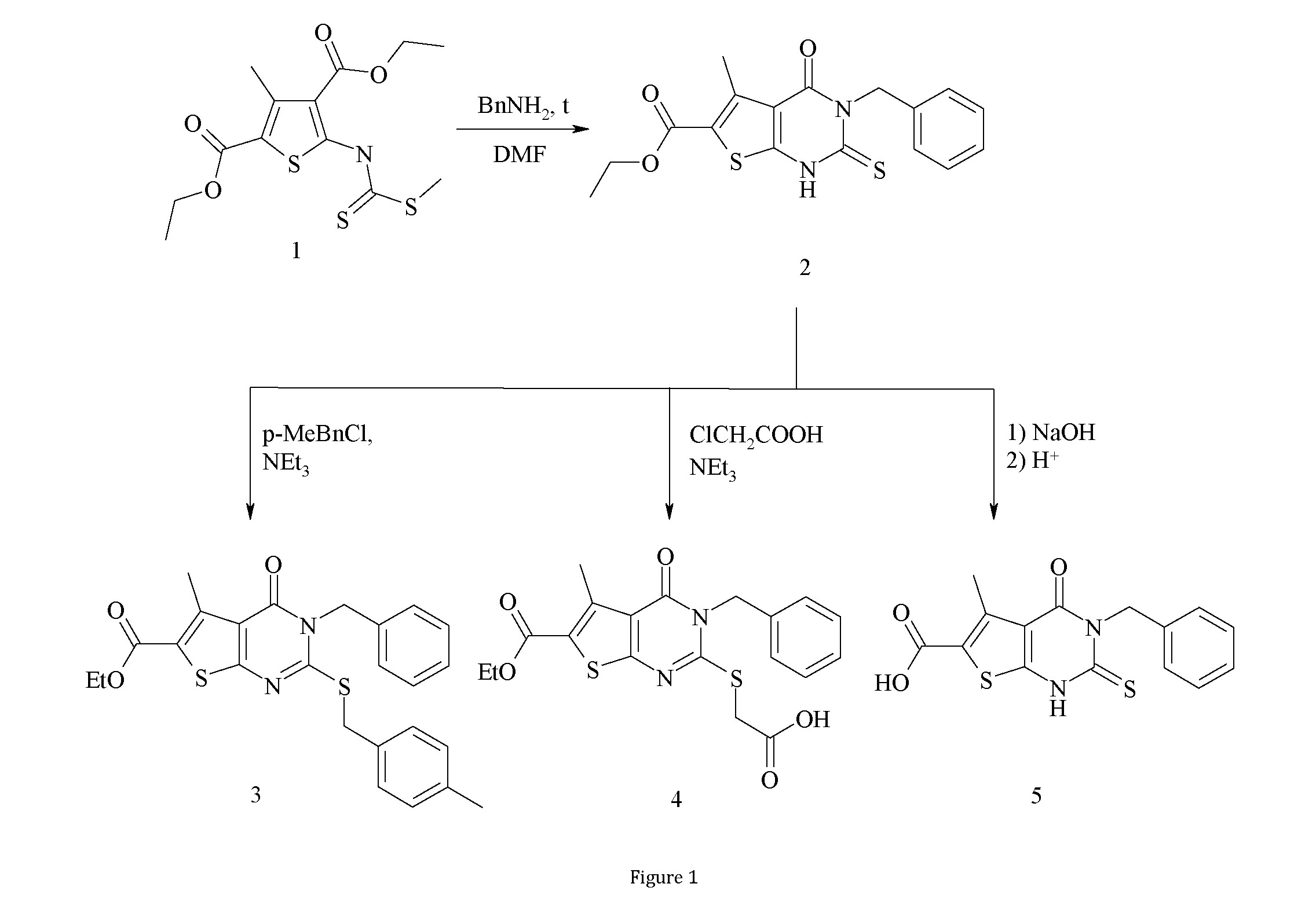 Screening study of anti-inflammatory and psychoactive properties of the derivatives of 3-benzyl-2-thio-5- methyl-4-oxo-3,4-dihydrothieno[2,3-d]pyrimidine-6-carboxylic acid