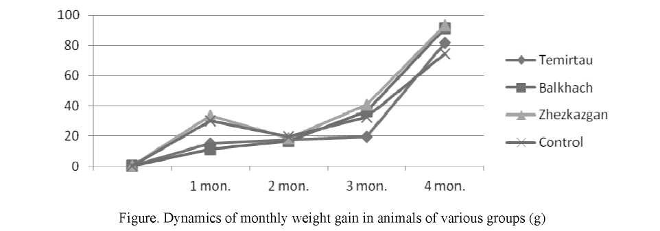 Features in the dynamics of morphometric parameters in rats after long-term intake of vegetable products, grown in industrial regions of the Karaganda region