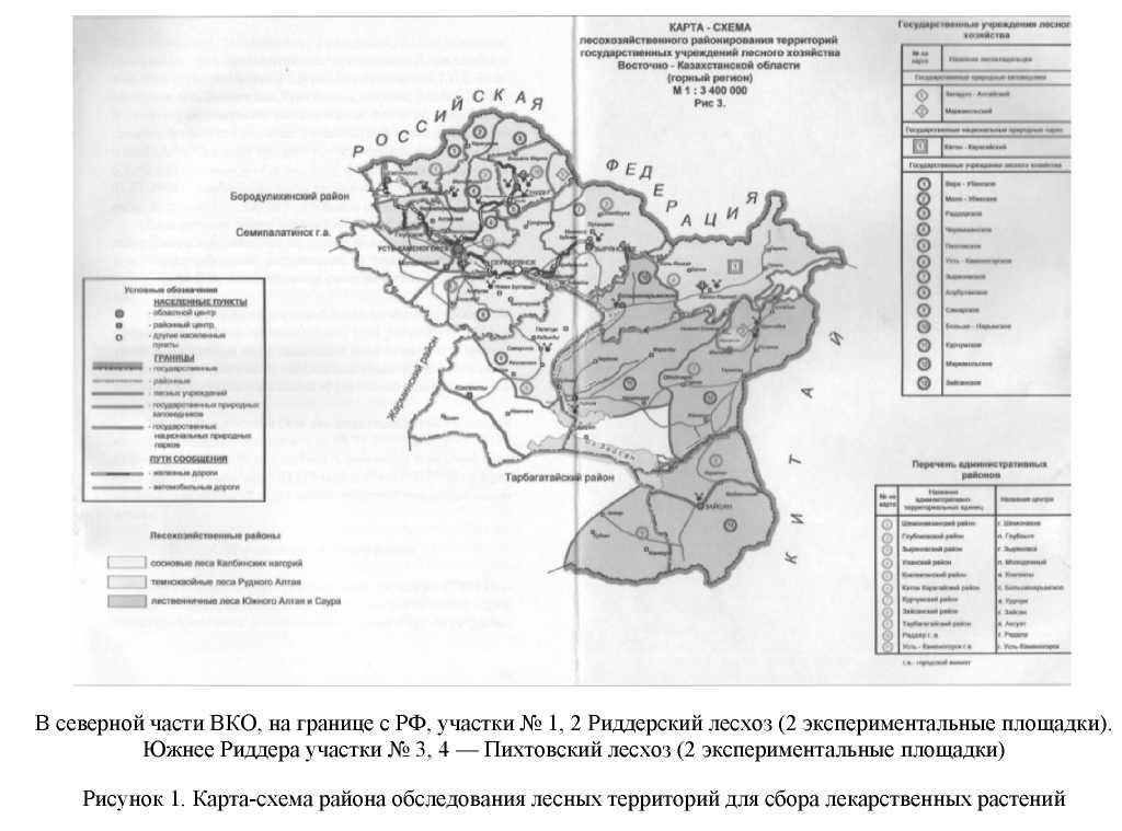 Оценка ресурсов лекарственных растений в лесах Казахстанской части Алтая и их экологическое состояние