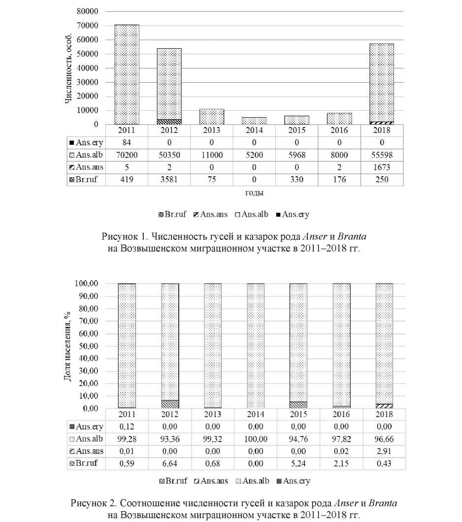 Динамика численности гусей и казарок на некоторых ключевых миграционных участках Северо-Казахстанской области
