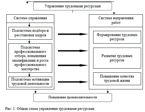 Лабораторная работа: Система образования в России Управление трудовыми ресурсами