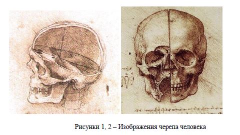 Труды и анатомические рисунки Леонардо да Винчи как базовые элементы развития средневековой медицины