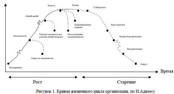Методика анализа финансового состояния предприятия с учетом различных этапов его жизненного цикла