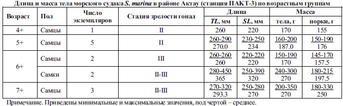 Длина и масса тела морского судака S. marina в районе Актау (станция ПАКТ