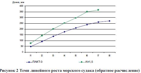 Темп линейного роста морского судака (обратное расчисление) 