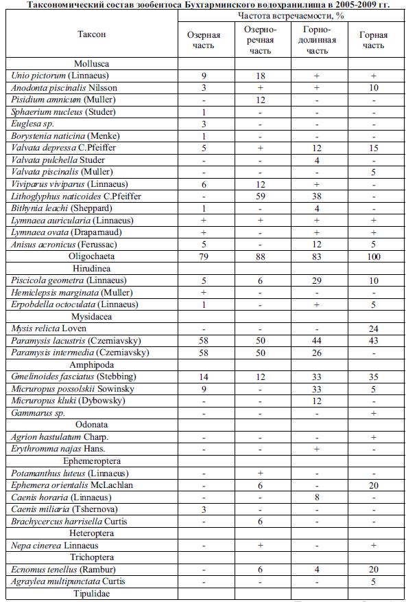 Таксономический состав зообентоса Бухтарминского водохранилища в 2005-2009 гг