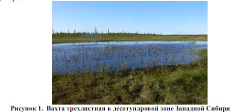 Некоторые биогеохимические особенности озерных термокарстовых экосистем субарктики Западной Сибири при климатических изменениях