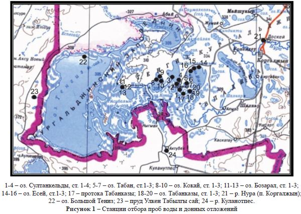 Современное экологическое состояние Тениз-Коргалжынских озер по гидрохимическим и токсикологическим показателям