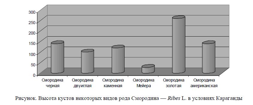 Высота кустов некоторых видов рода Смородина — Ribes L. в условиях Караганды