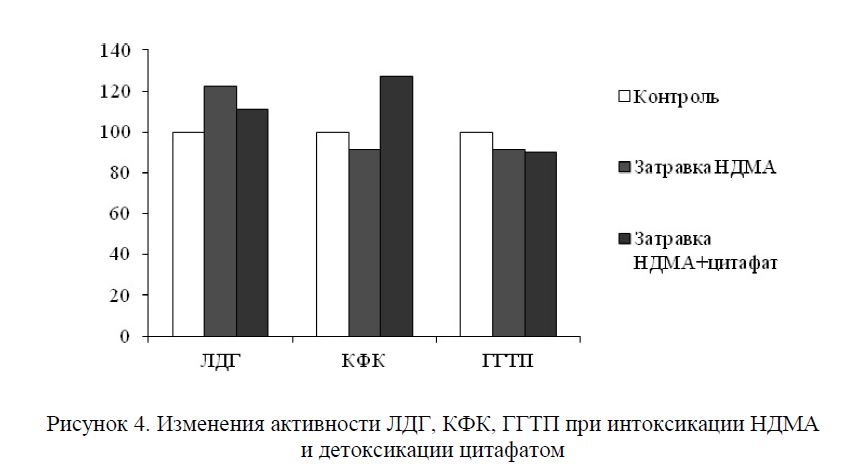 Изменения активности ЛДГ, КФК, ГГТП при интоксикации НДМА и детоксикации цитафатом
