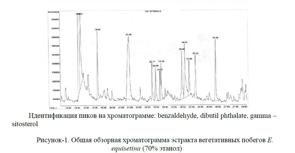 Общая обзорная хроматограмма эстракта вегетативных побегов Е. equisetina (70% этанол)