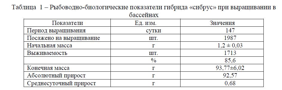 Опыт выращивания гибрида «сибирский осетр х русский осетр» в Казахстане