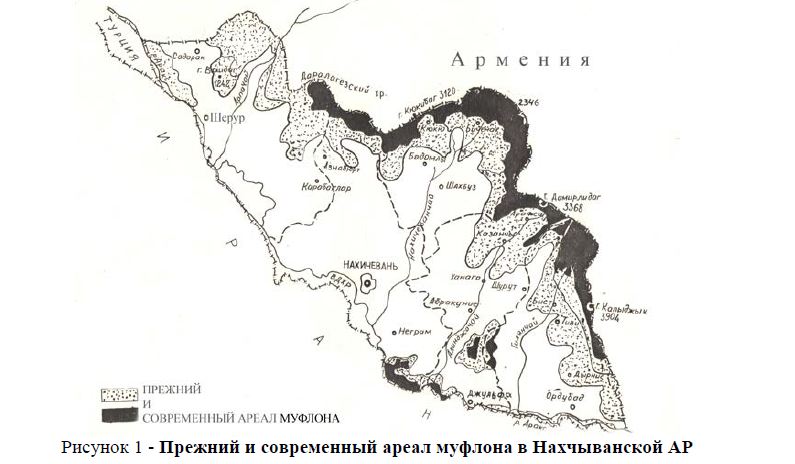 Современное состояние популяции закавказского муфлона (ovis orientalis gmelin) в Азербайджане