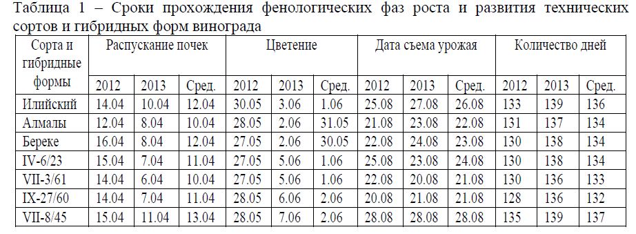 Сравнительная оценка технических сортов винограда казахстанской селекции в условиях нижнегорной зоны Алматинской области