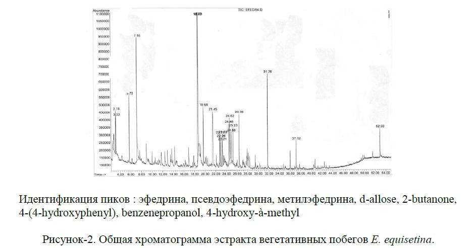 Общая хроматограмма эстракта вегетативных побегов Е. equisetina.