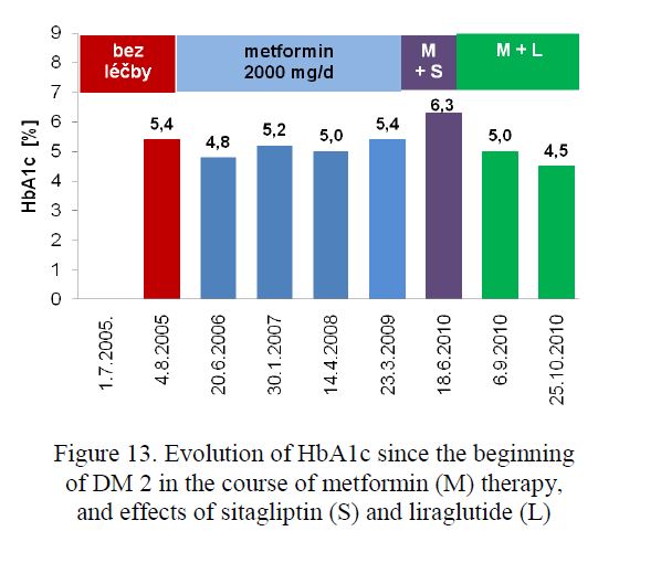 volution of HbA1c since the beginning of DM 2 in the course of metformin (M) therapy, and effects of sitagliptin (S) and liraglutide (L) 