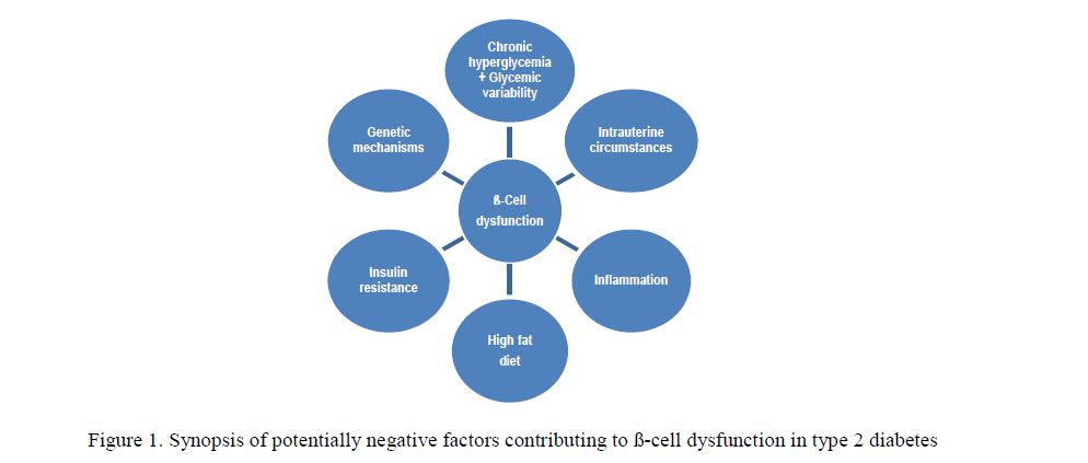 Synopsis of potentially negative factors contributing to ß-cell dysfunction in type 2 diabetes 