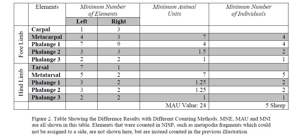 Table Showing the Difference Results with Different Counting Methods. MNE, MAU and MNI are all shown in this table. Elements that were counted in NISP, such as metapodia fragments which could not be assigned to a side, are not shown here, but are instead counted in the previous illustration 