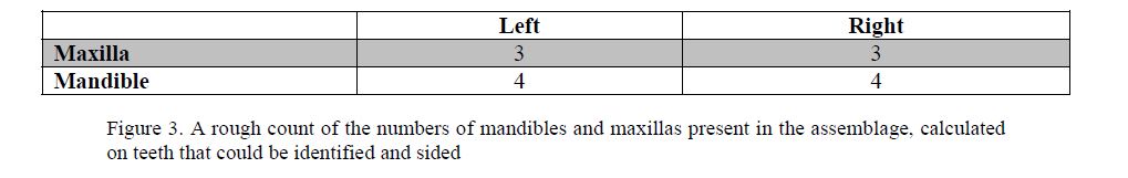 A rough count of the numbers of mandibles and maxillas present in the assemblage, calculated on teeth that could be identified and sided 
