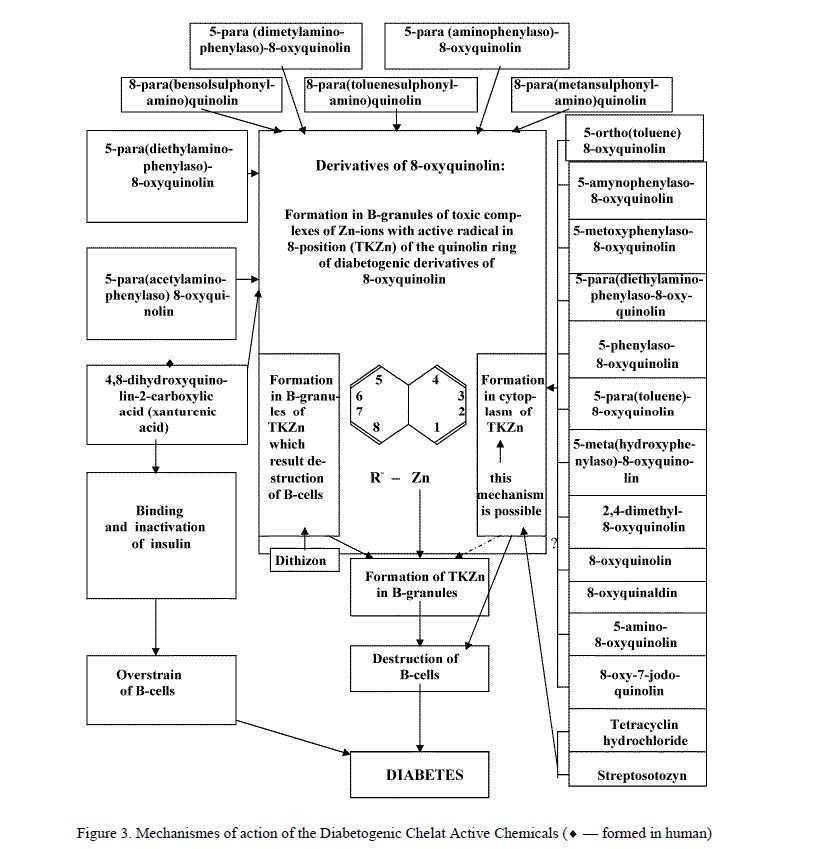 Mechanismes of action of the Diabetogenic Chelat Active Chemicals (¨ — formed in human) 