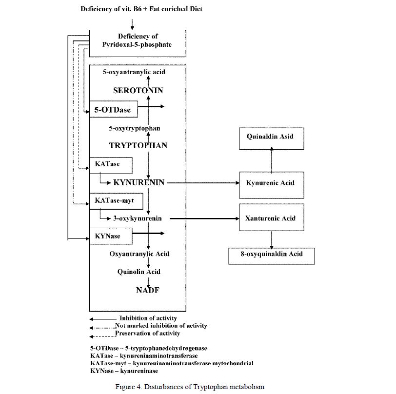 Disturbances of Tryptophan metabolism 